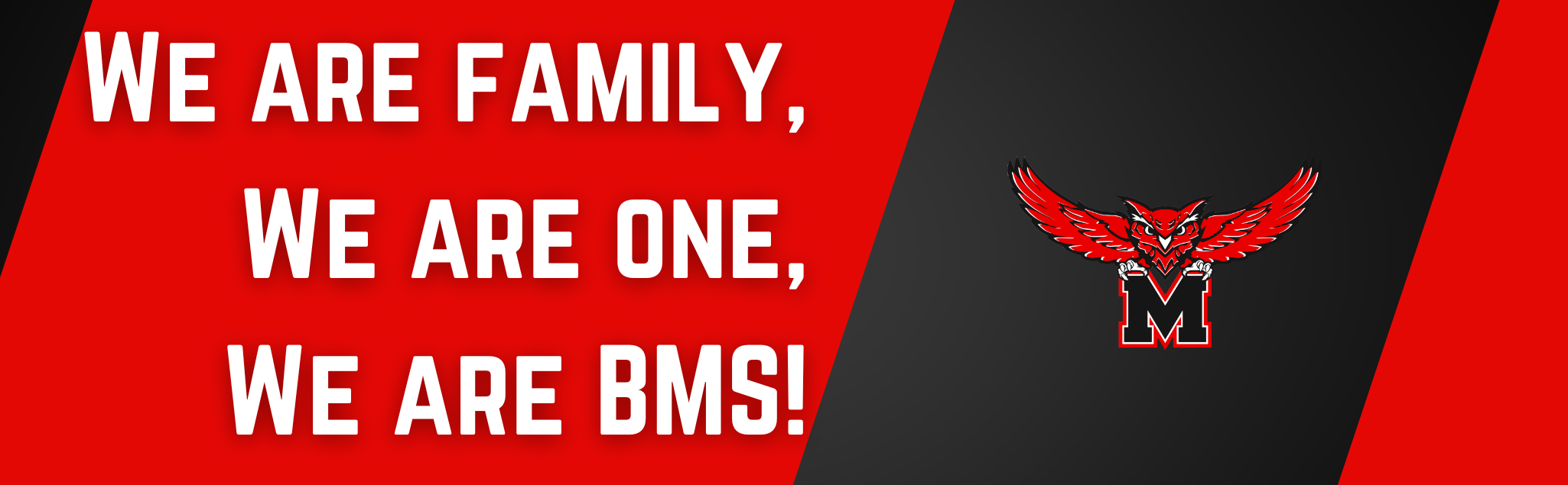 we are bms