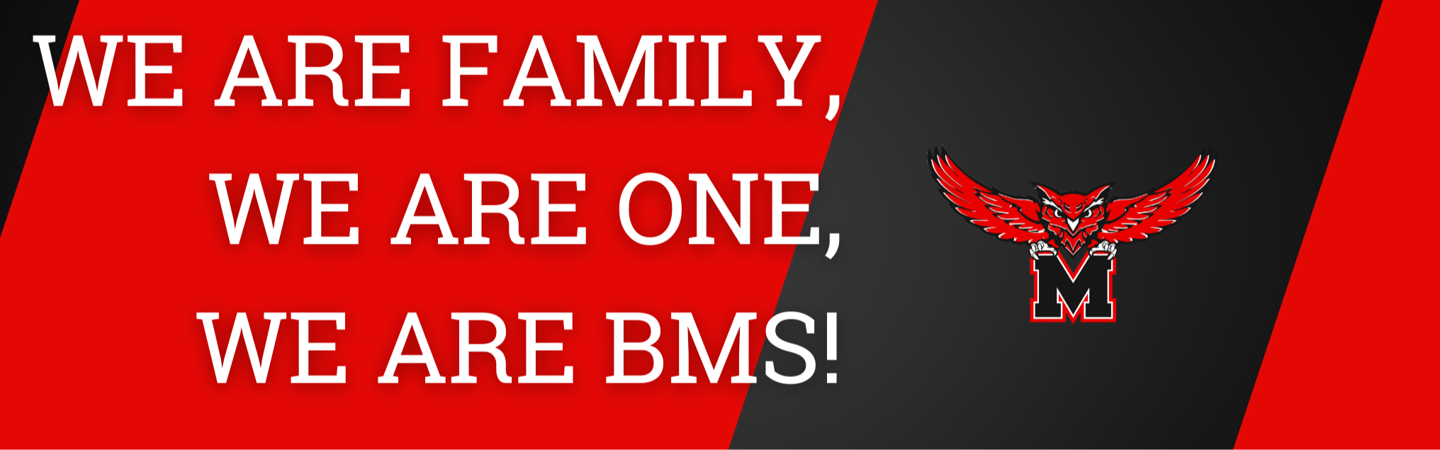 we are bms
