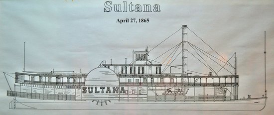Sultana drawing
