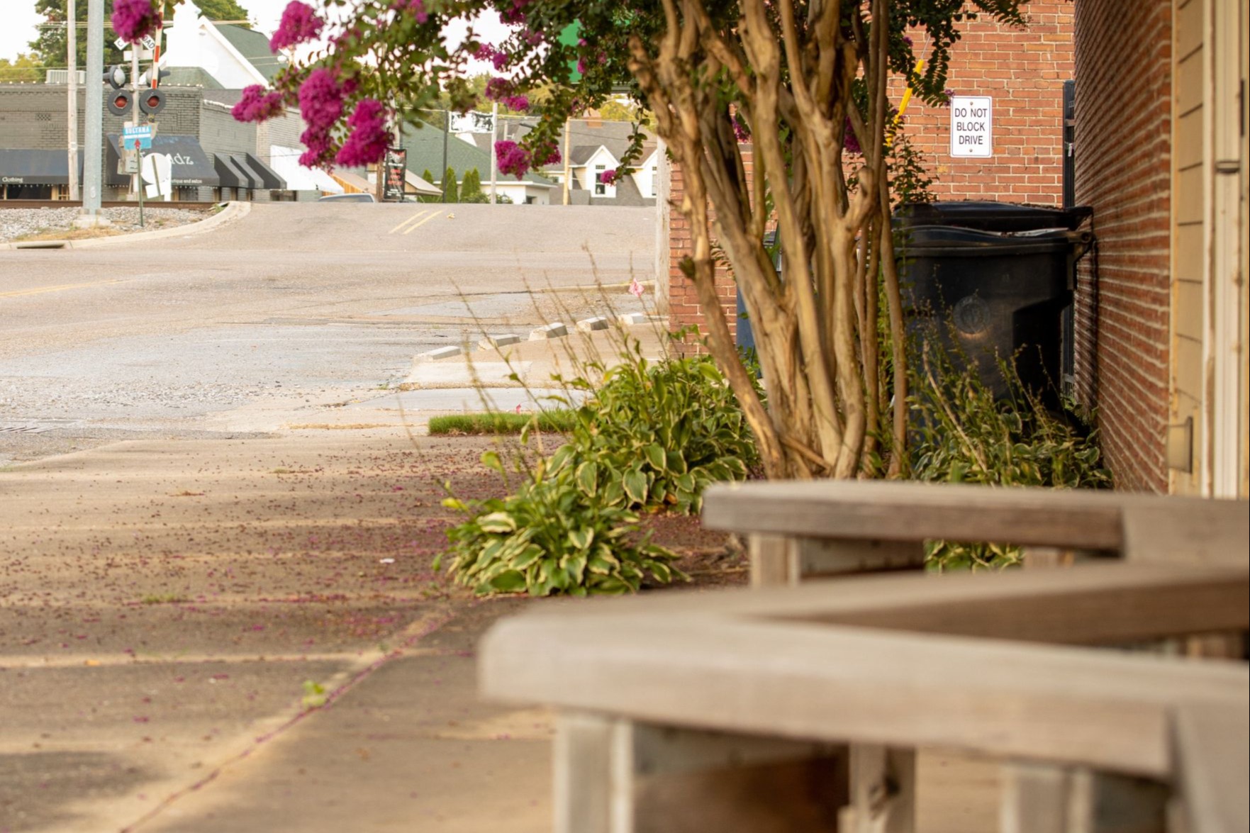 picture of a bench, tree and military road