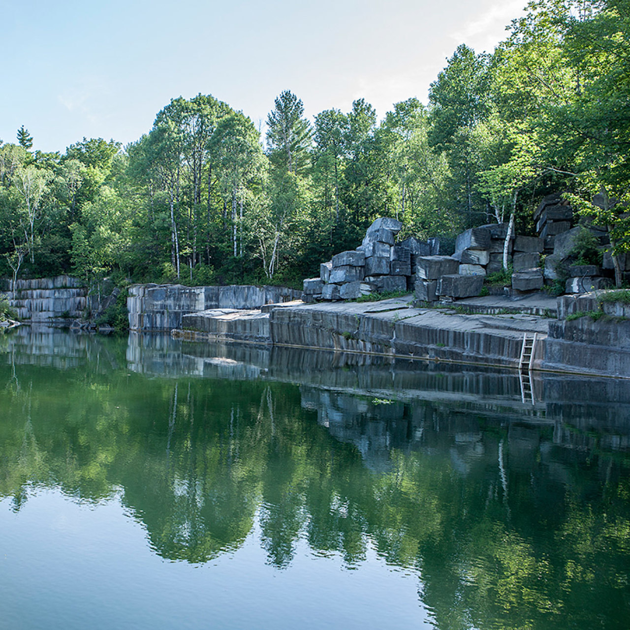 Home | The Dorset School, image size:1280x1280