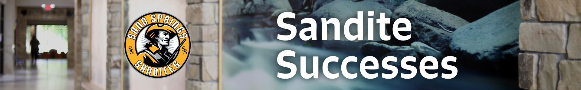 Sandite Successes