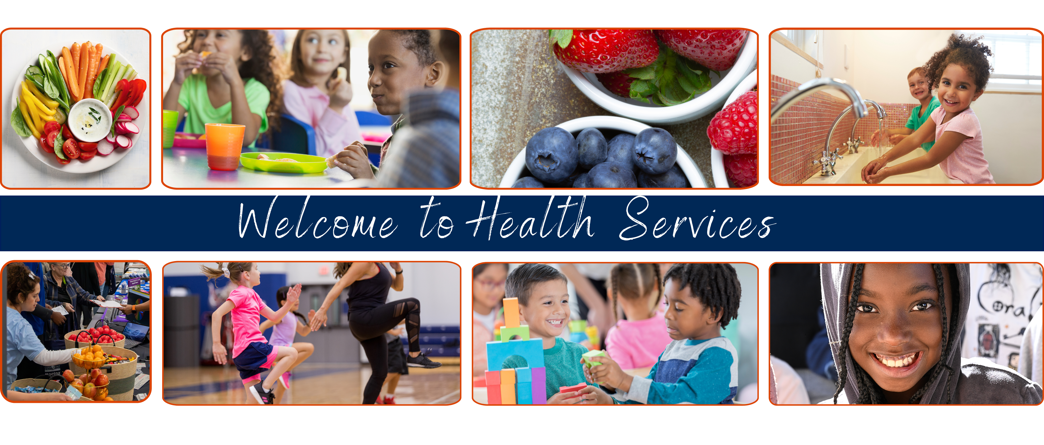 Health Services Banner