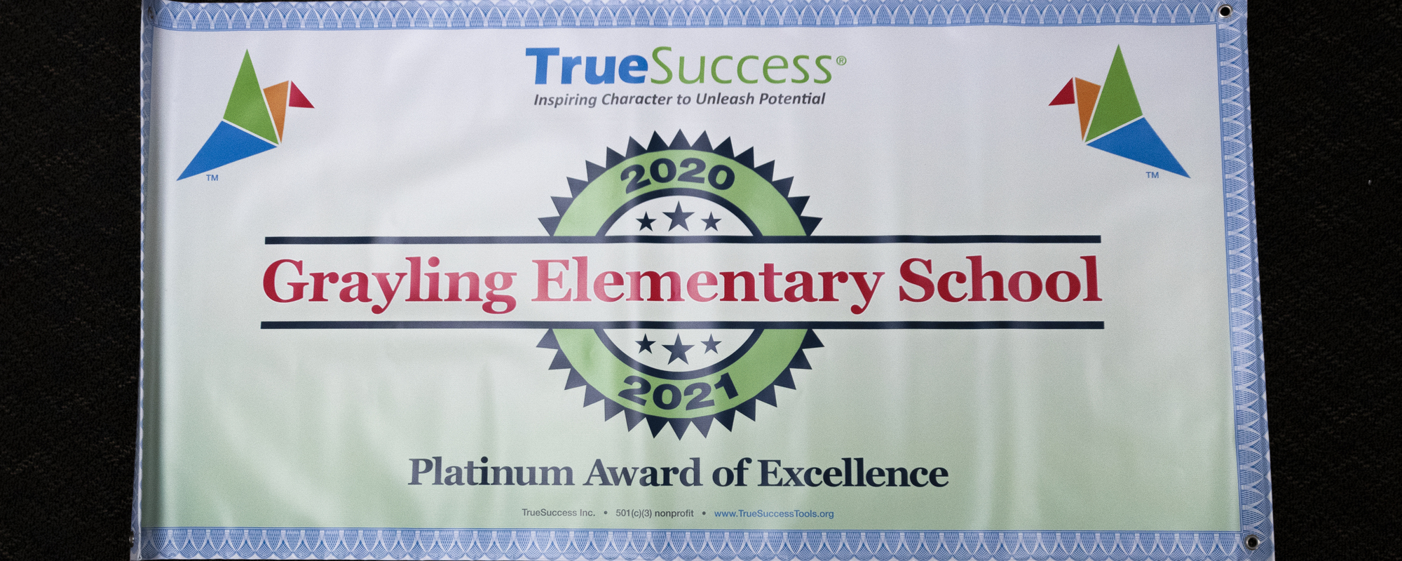 ges platinum award of excellence banner