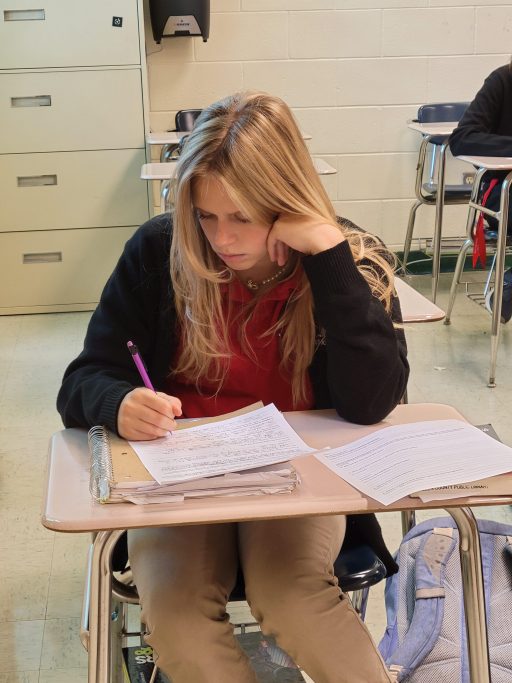 a girl studying at a desk