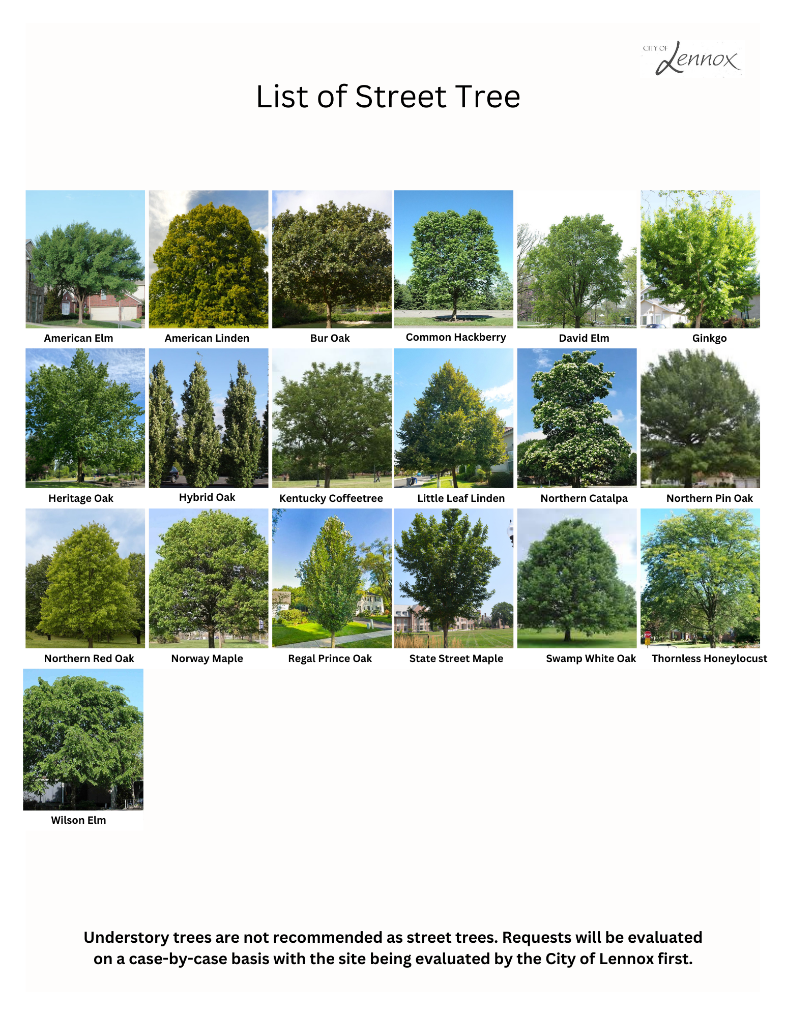 Street Tree list of names