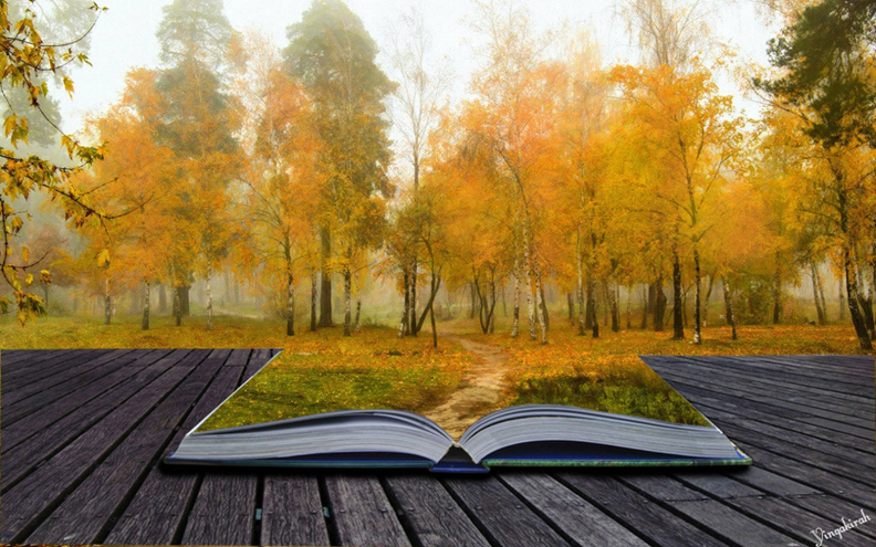 book with trees in Autumn