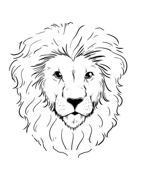 lion