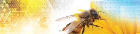 Biology Bee banner