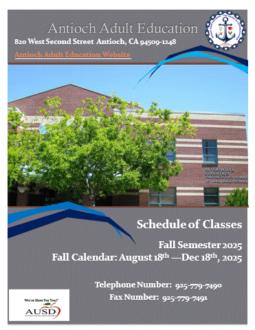 Current AAE Brochure