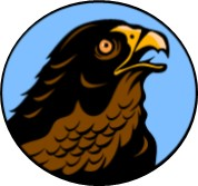 Turner logo