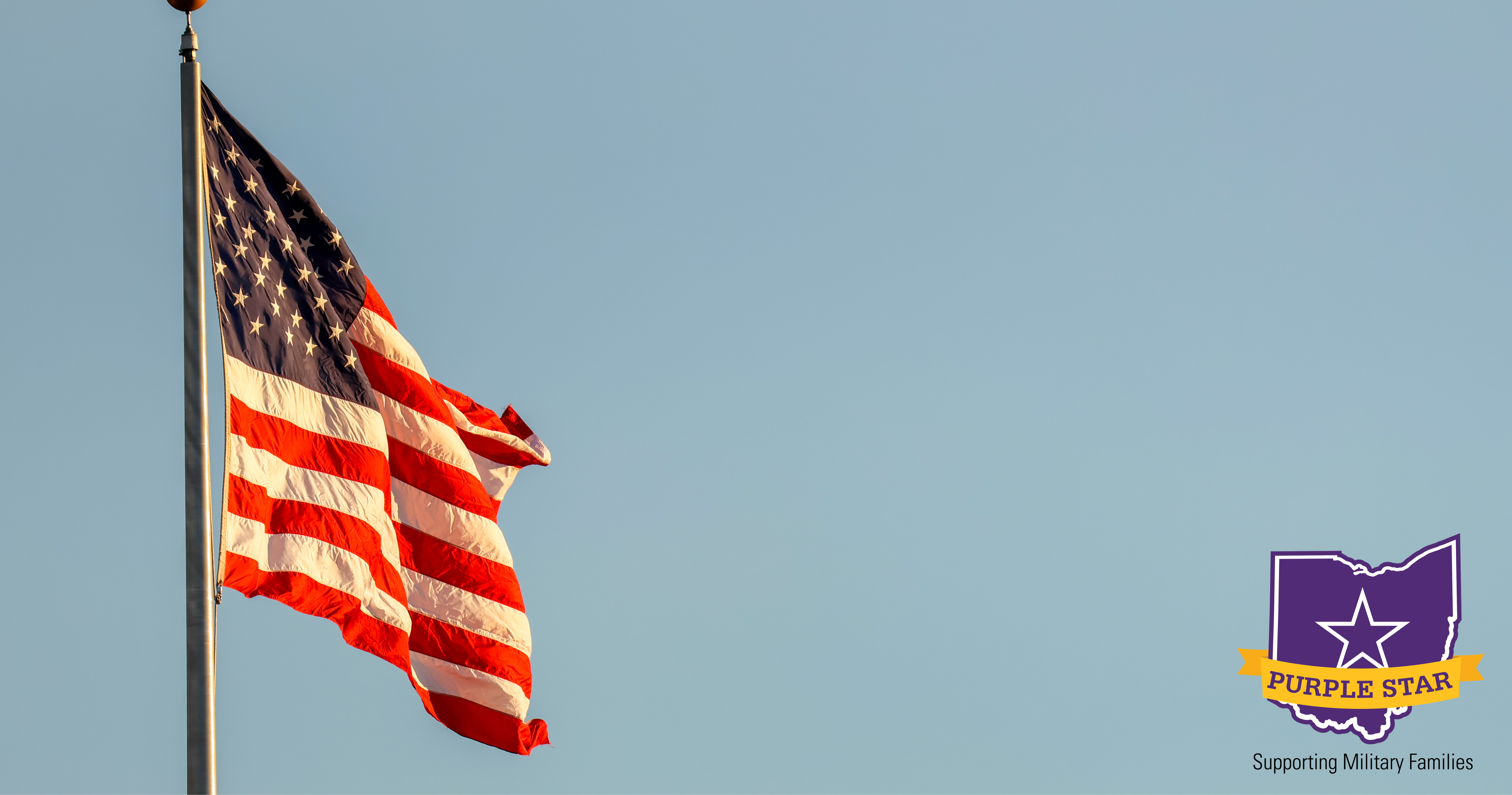 american flag at Performance stadium