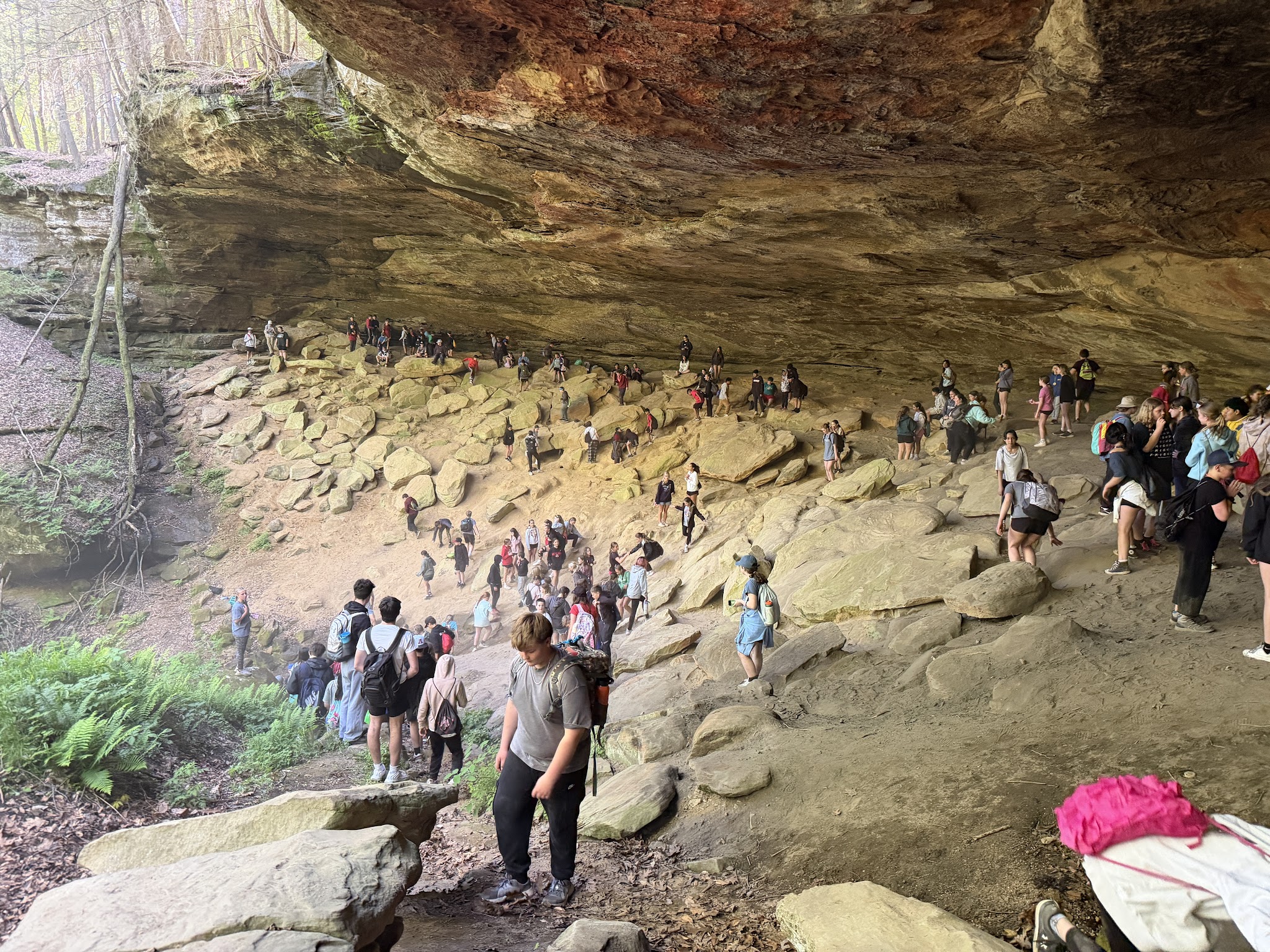 campers hiking