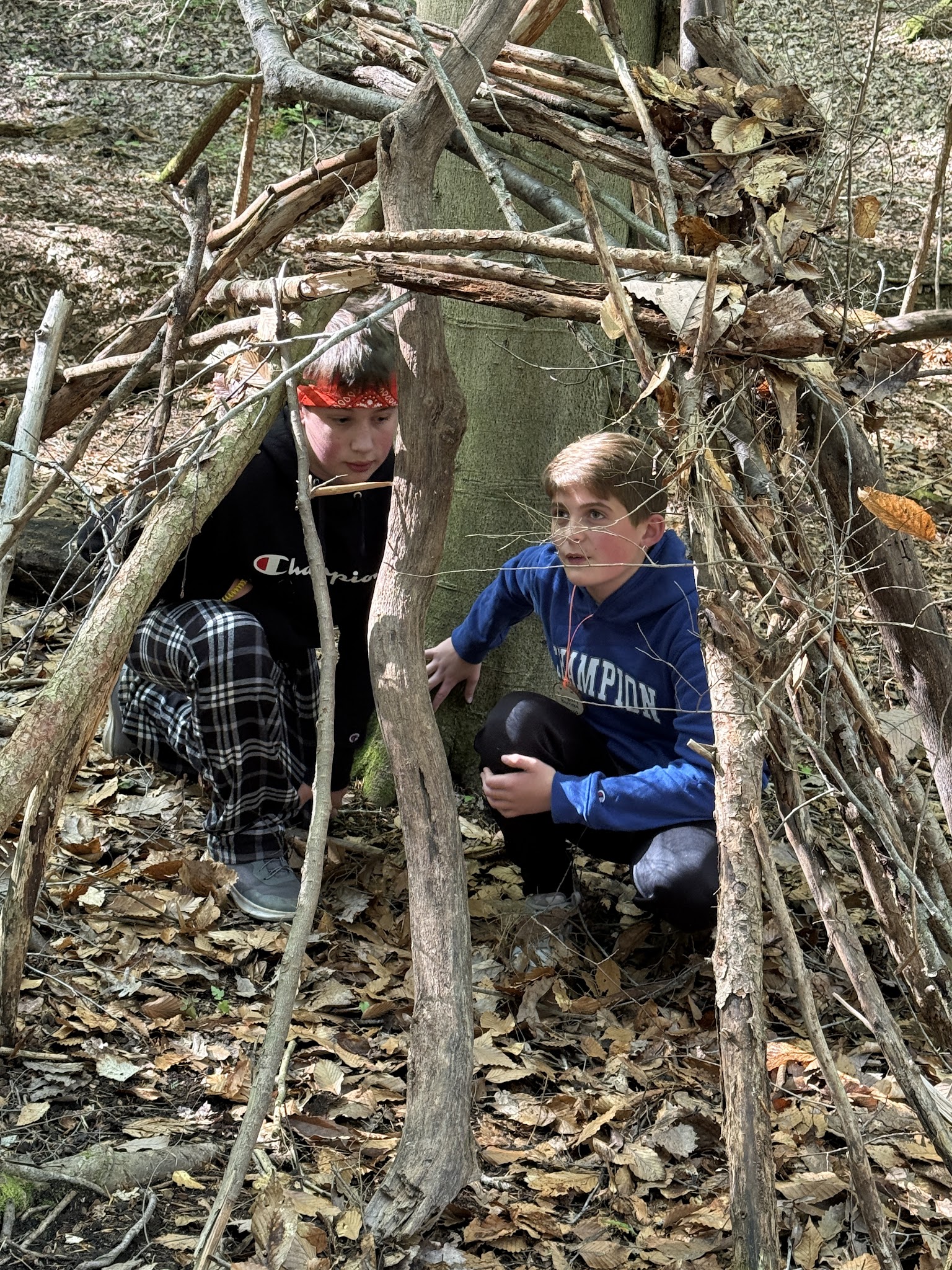 students hiking in woods