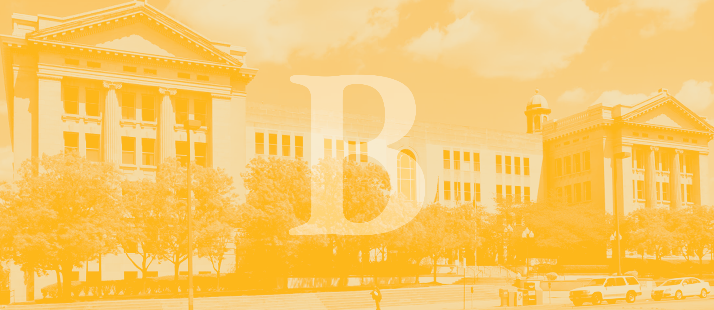 Yellow City Schools Background