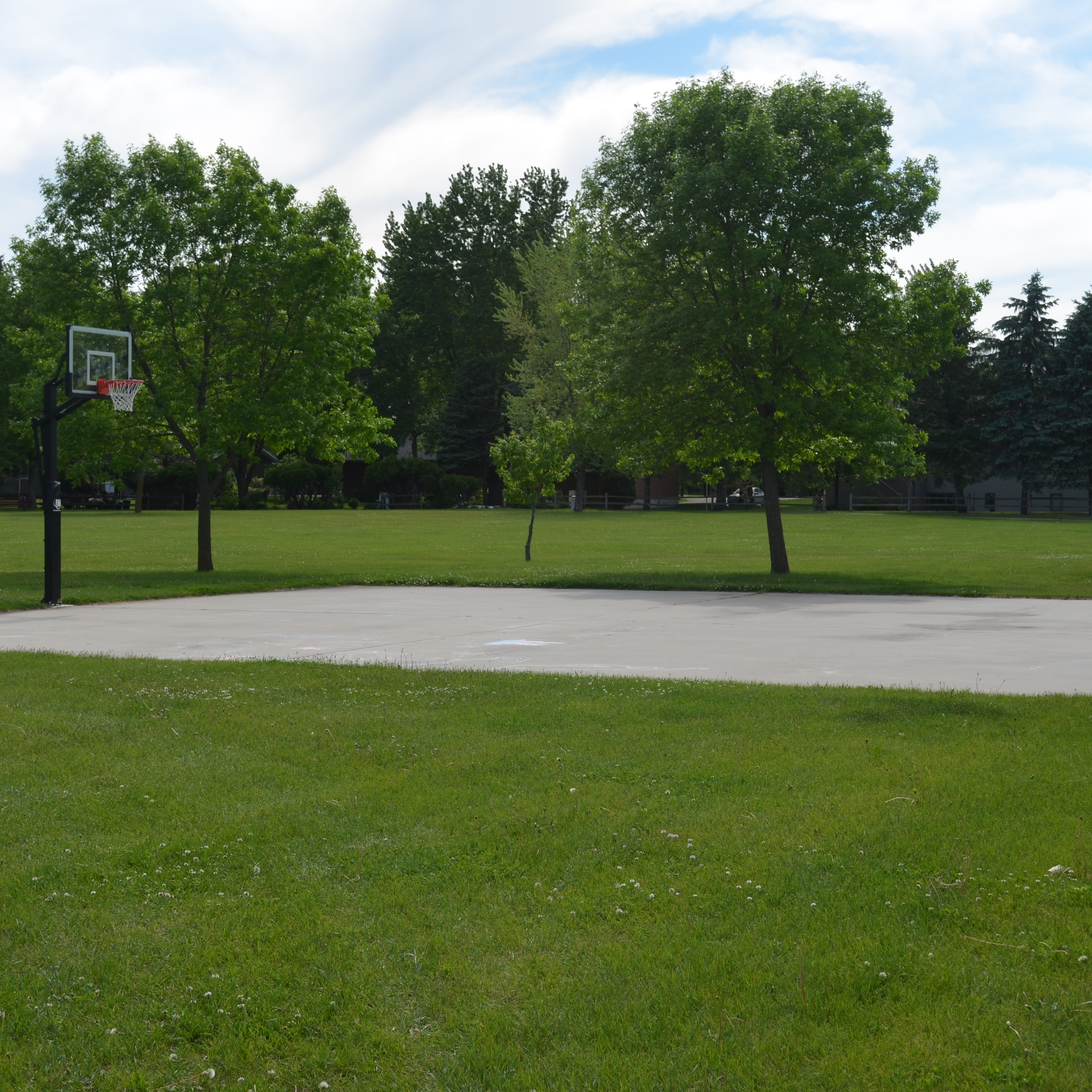 ourdoors basketball court with green grass 