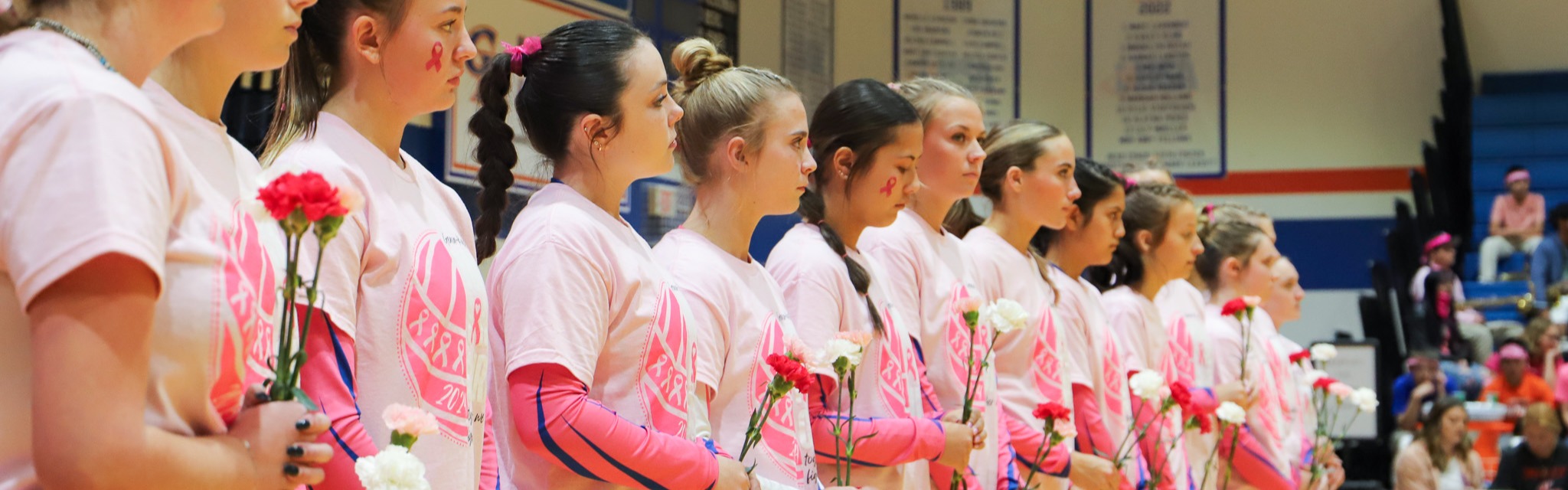 image of volley for the cure - volleyball team