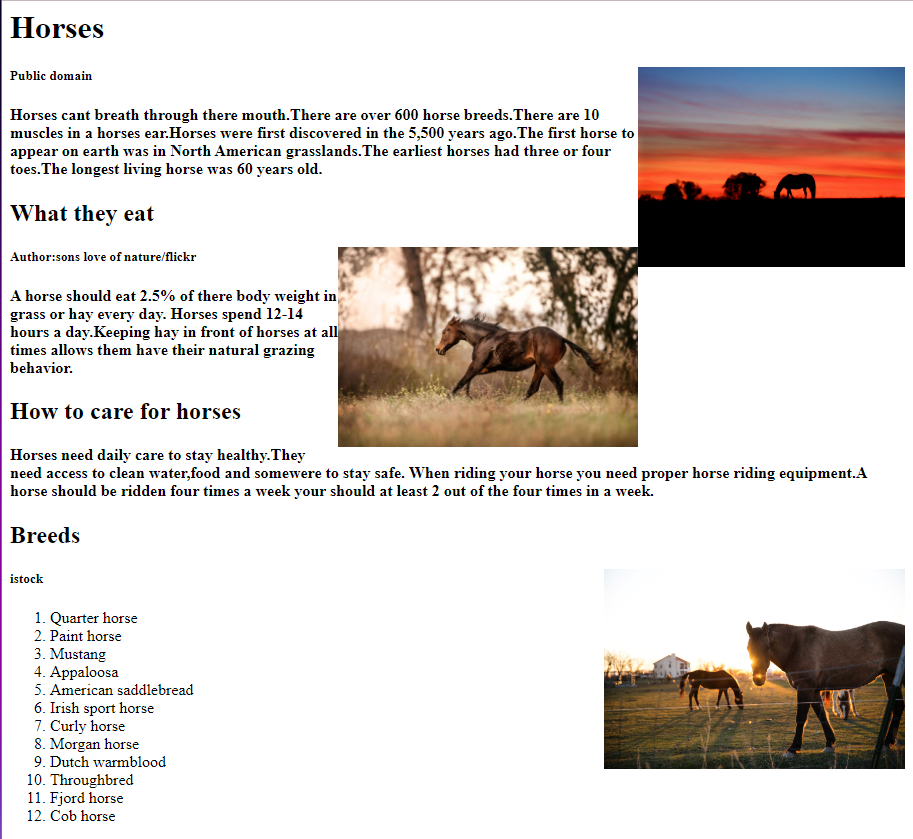 Horses Page