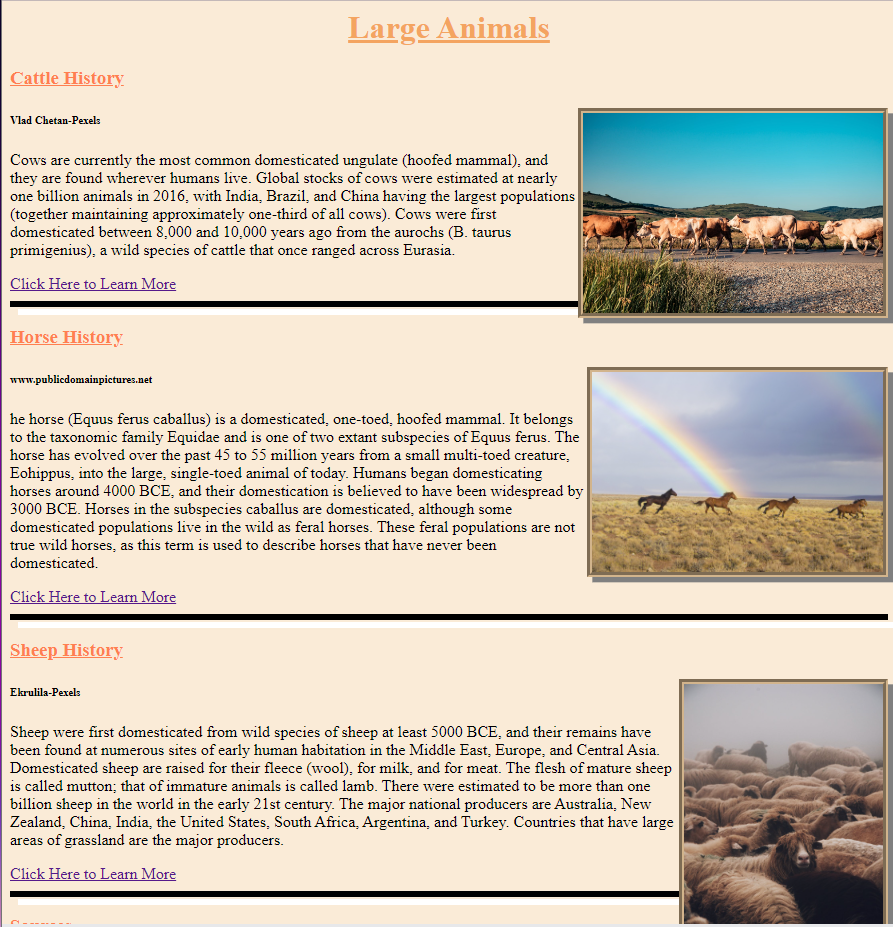 Large Animal page