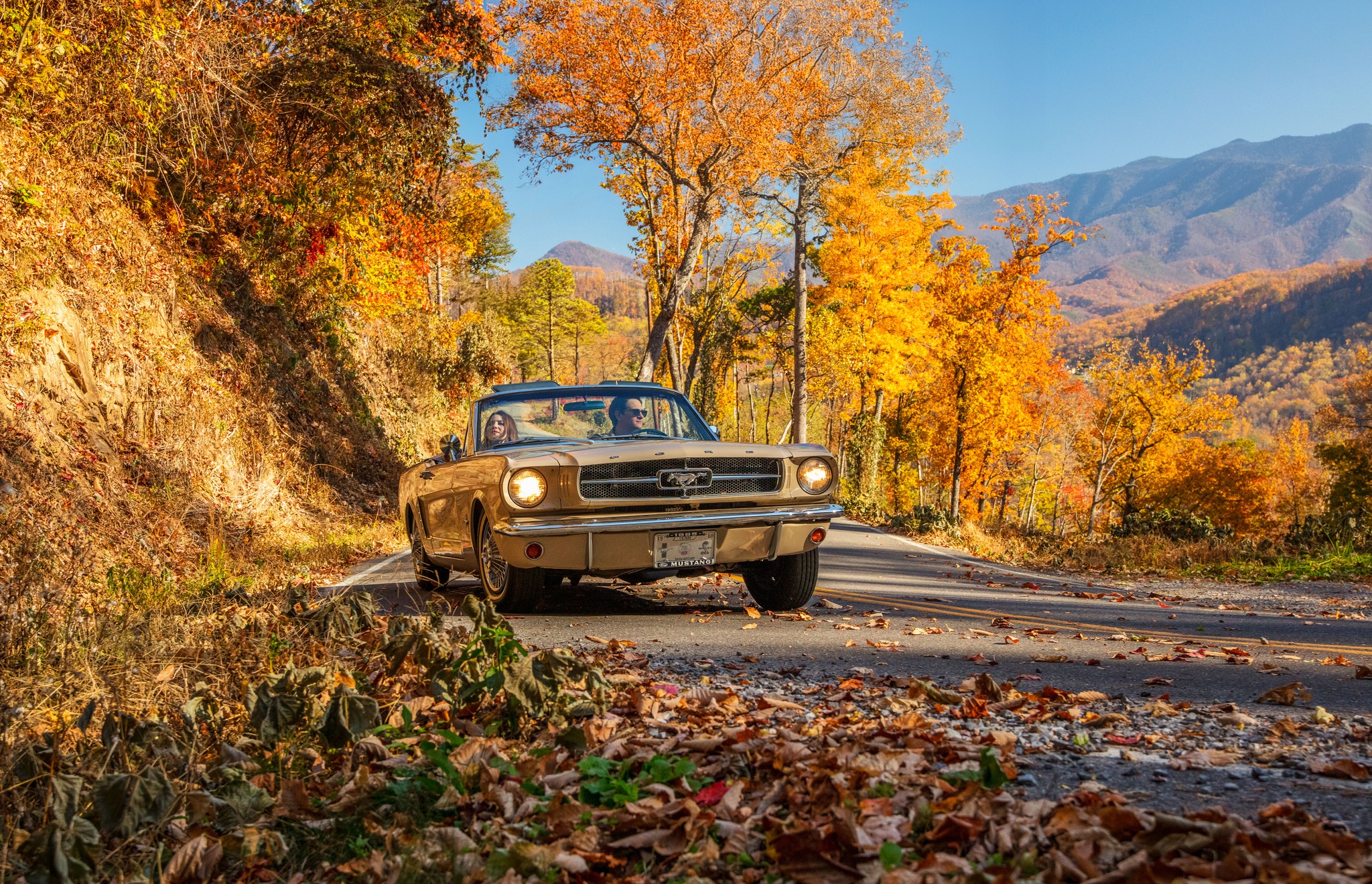 fall in Gatlinburg