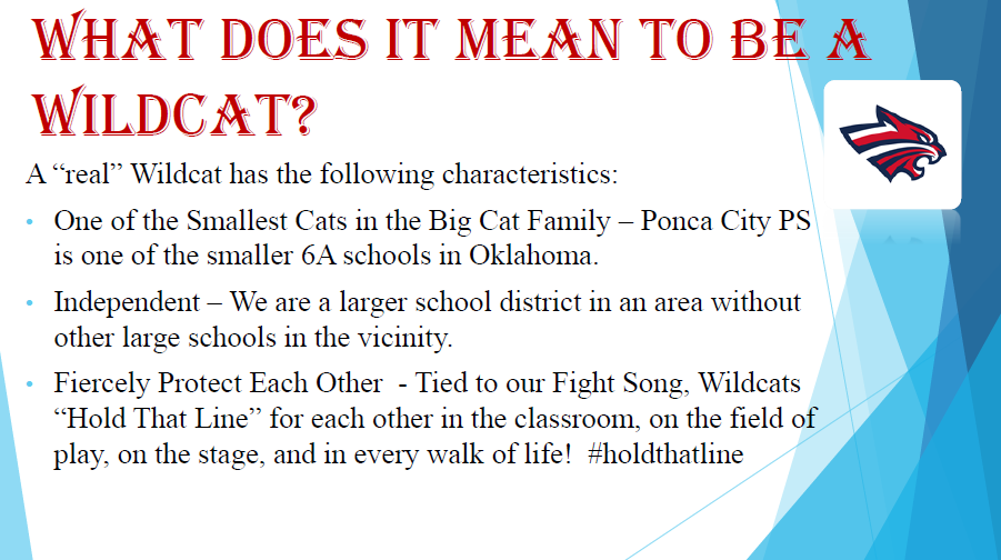 What does it mean to be a wildcat?