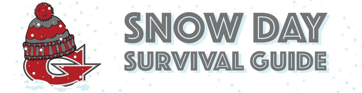 Snow day survival guide