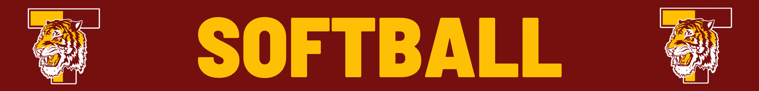 Softball With T Tiger Logos