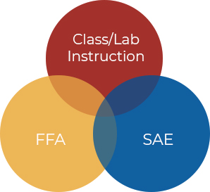 WIS FFA 3 Circle Model