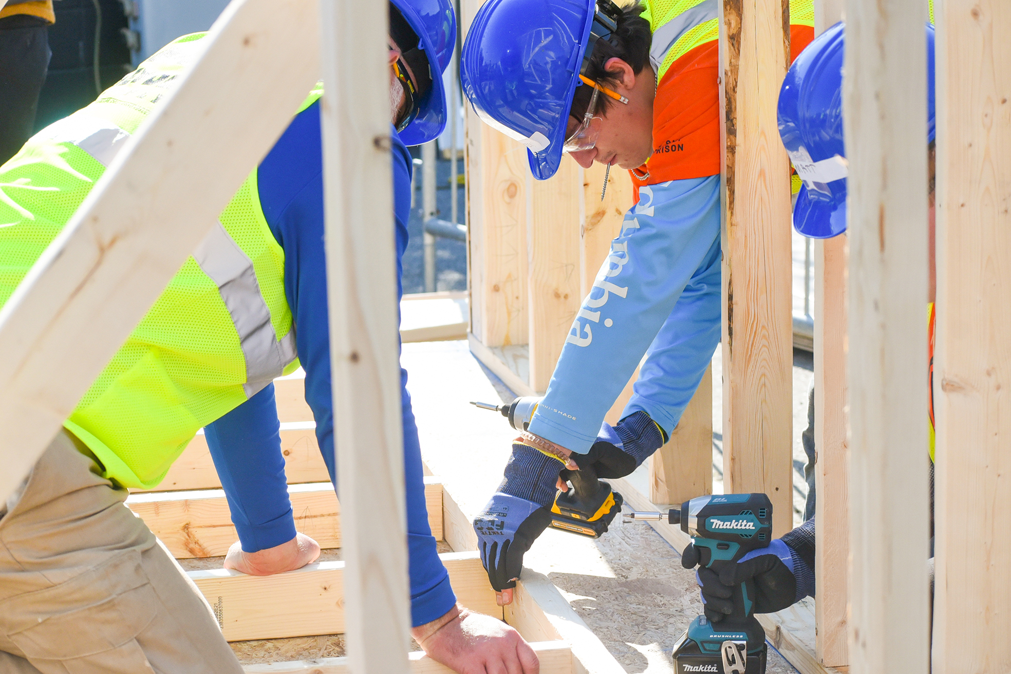 students building shed