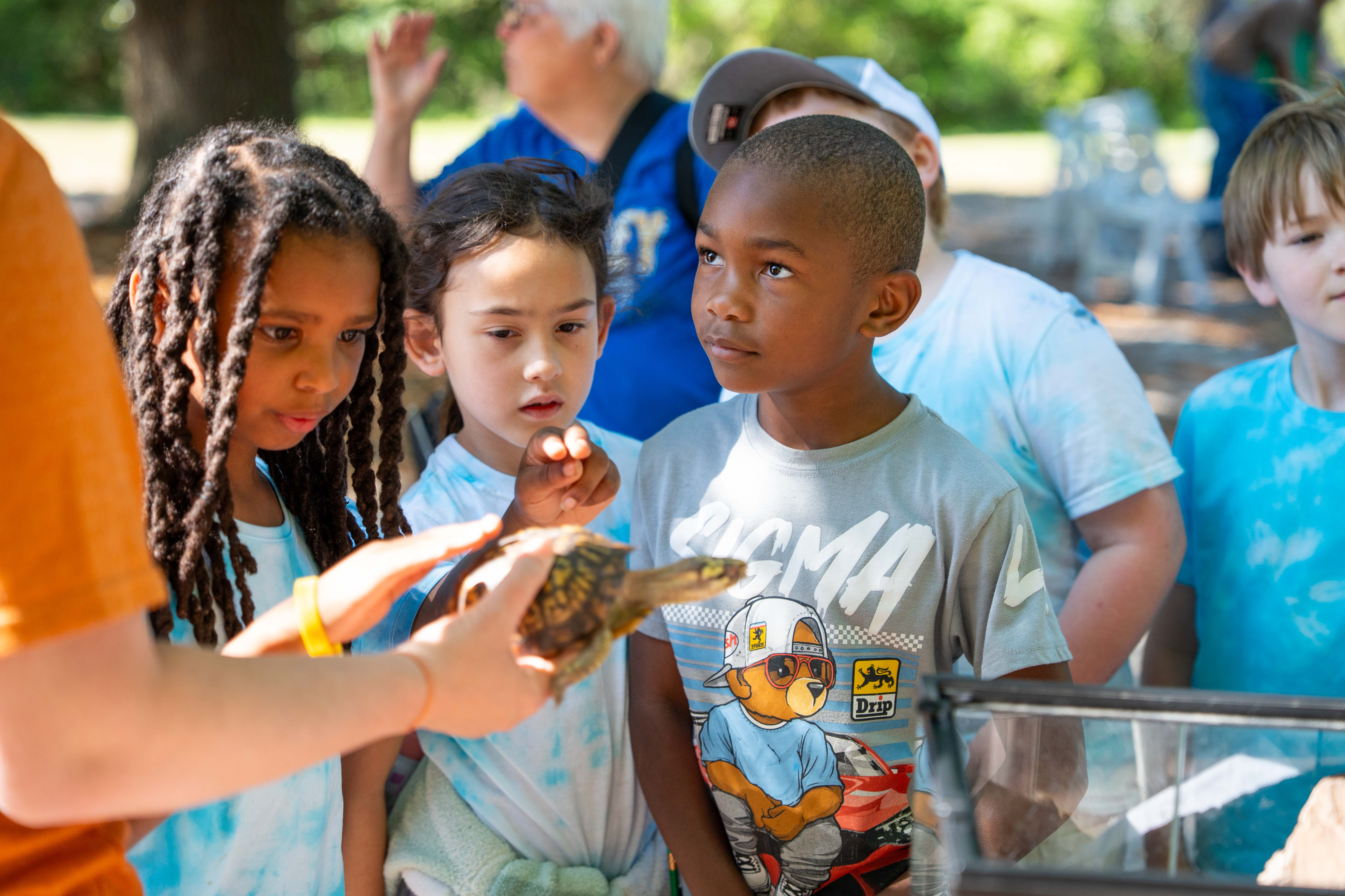 Children watch a person hold a turtle in a transparent container. Behind them, several adults watch.