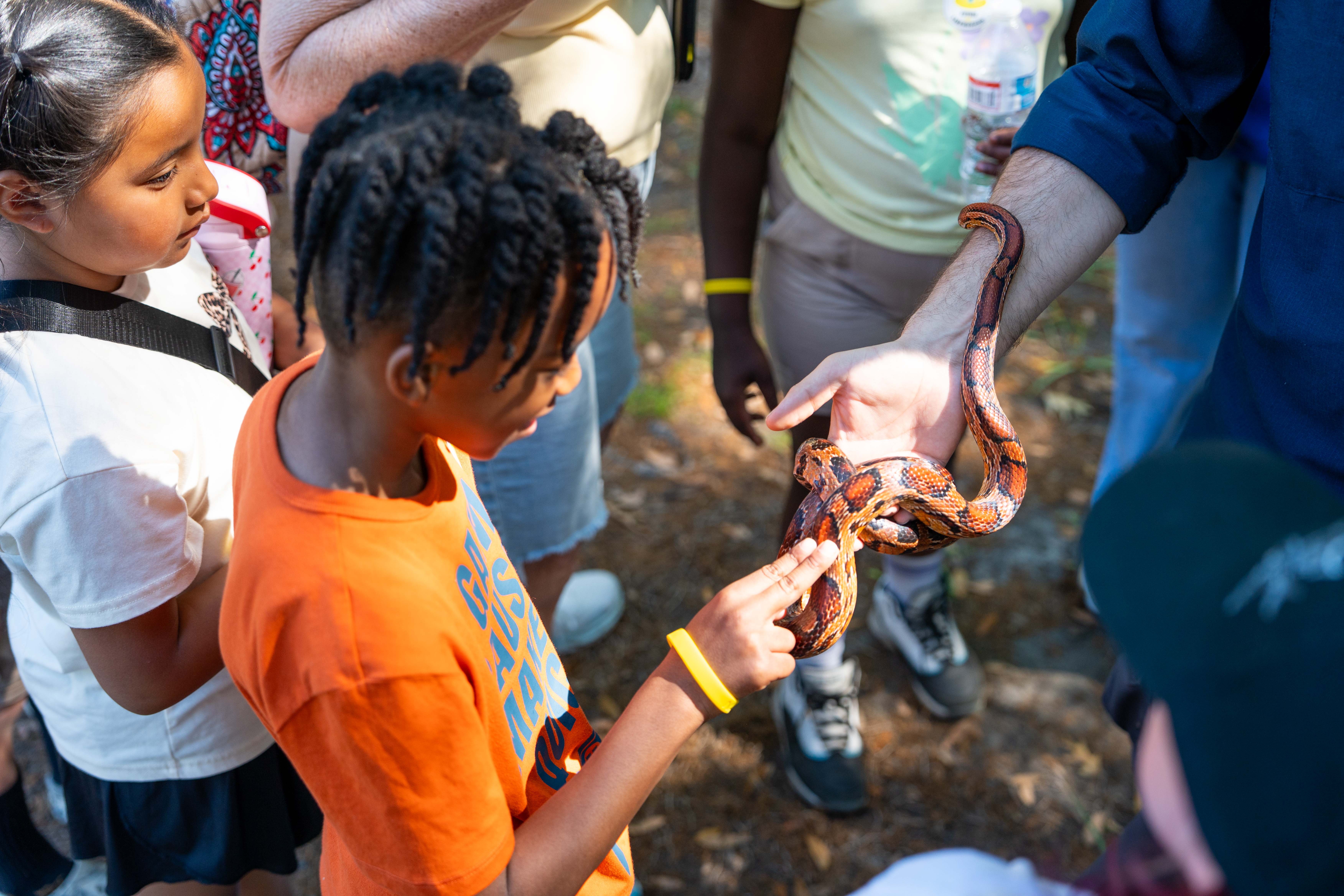 Children with adults, one child holding a snake. Background includes green grass, trees, and other people.