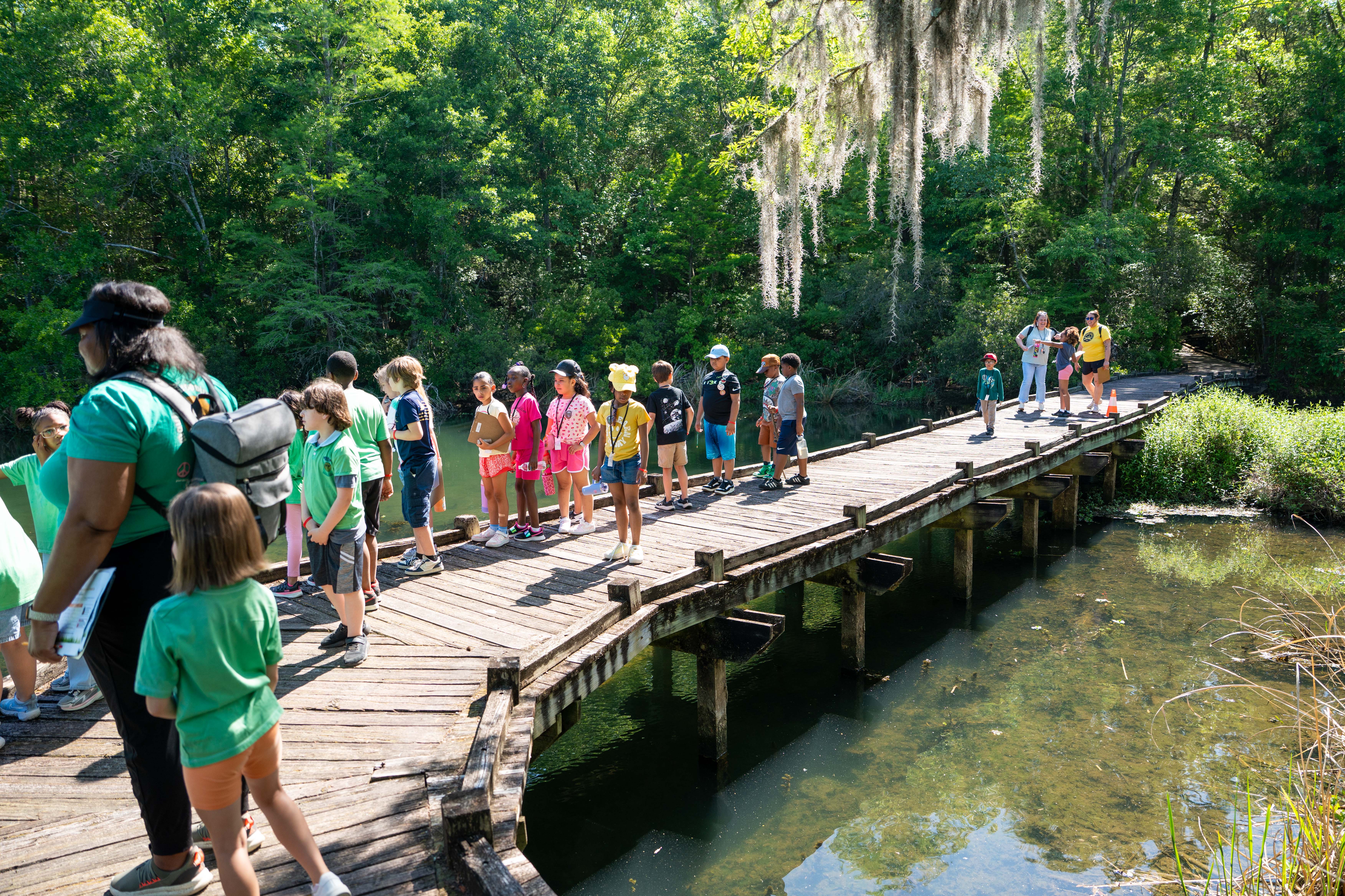 People on a wooden bridge over a pond, some wearing green shirts, with trees and greenery behind them.