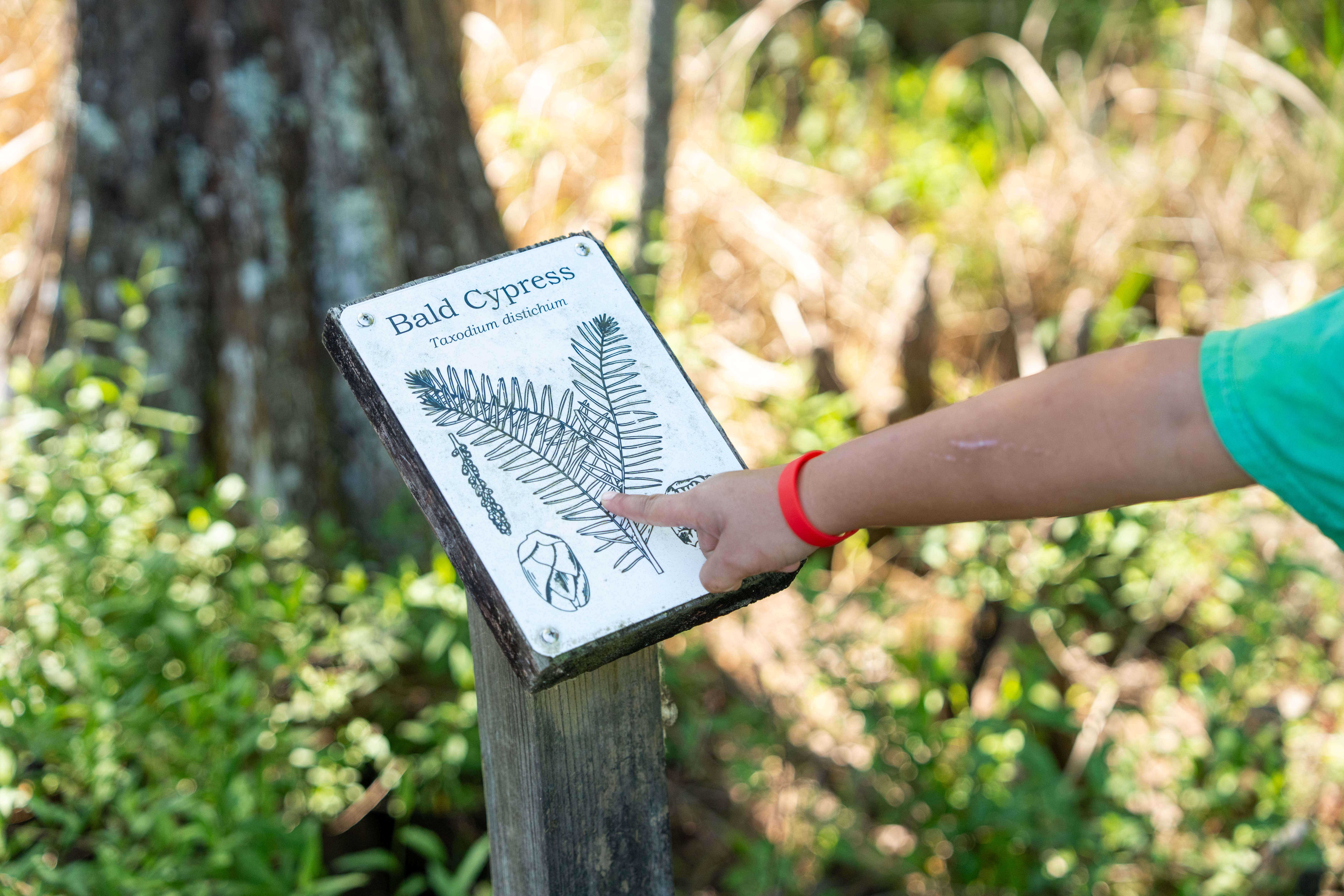 A person touches a sign with a drawing of a plant and text. The background includes trees and shrubs.