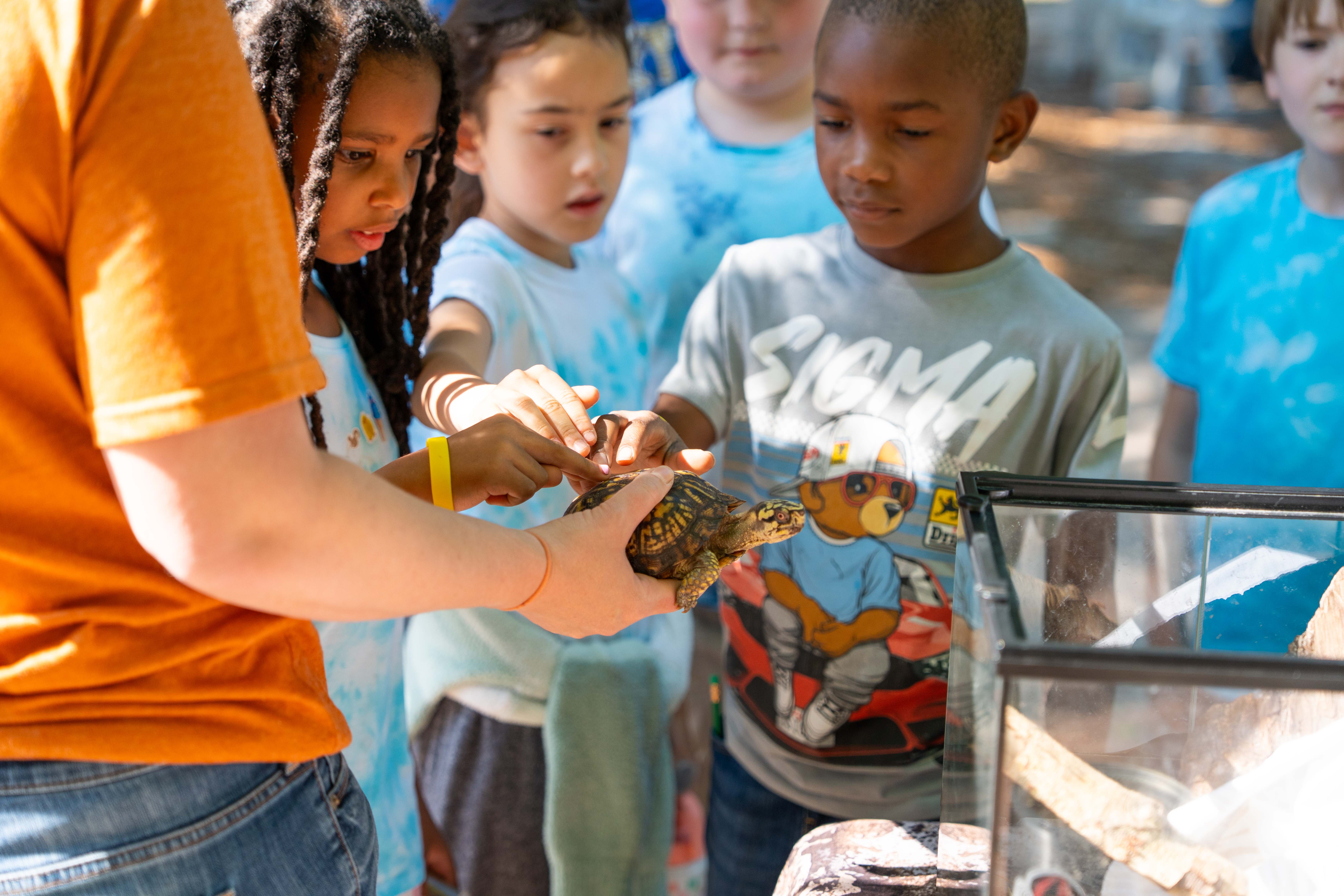A group of children is watching a reptile in a glass case. An adult holds the reptile.