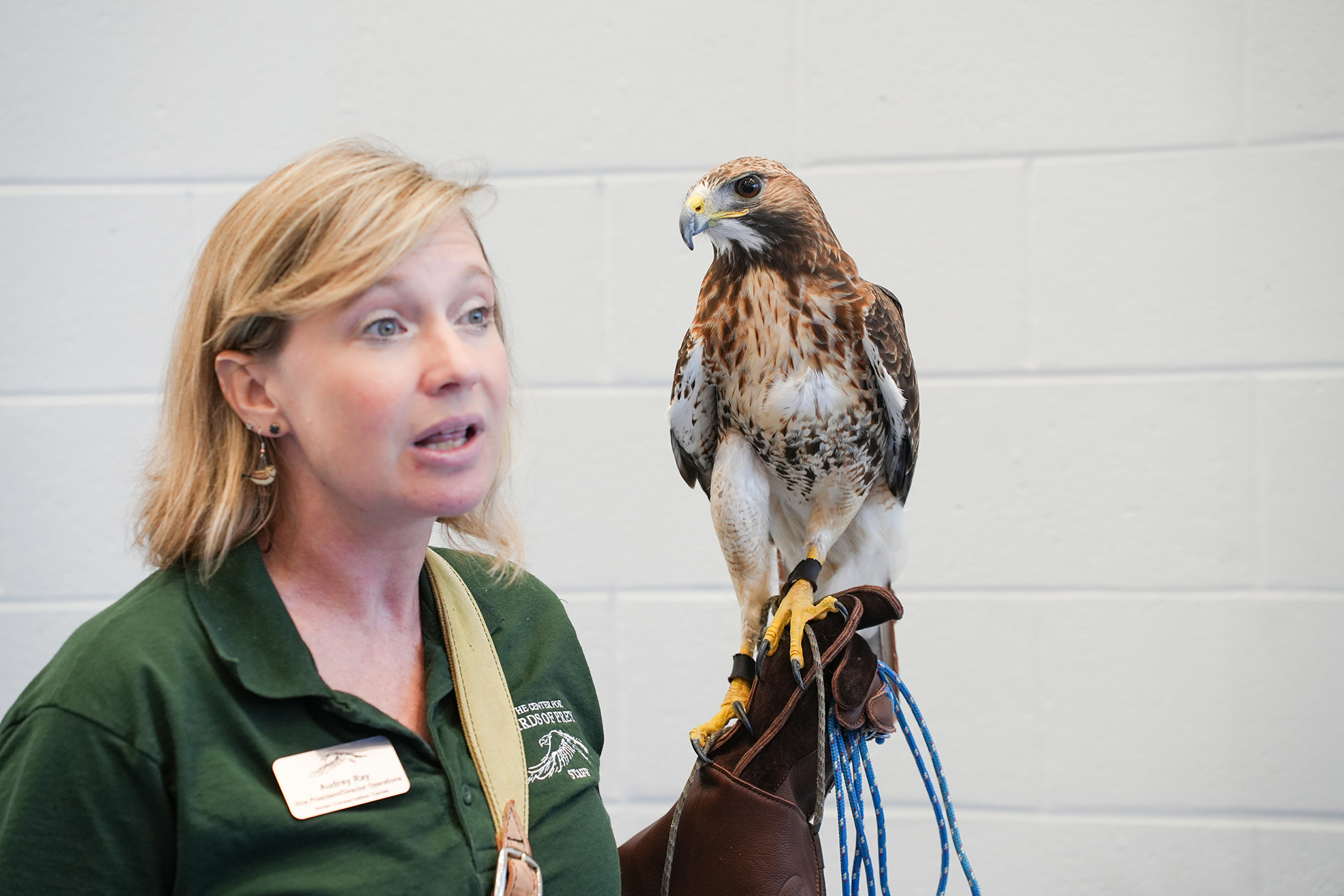 A woman with blonde hair in a green shirt talks with a hawk on her glove.