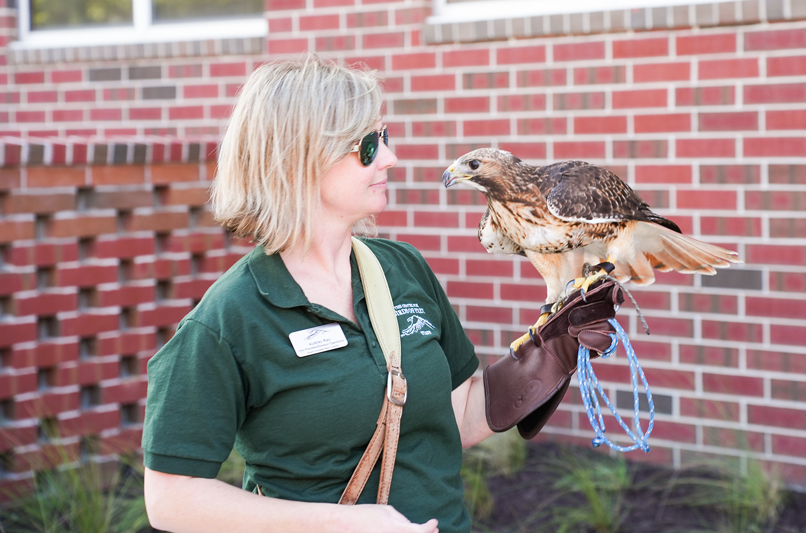 A woman in green holds a hawk perched on her gloved hand, standing before a brick building.