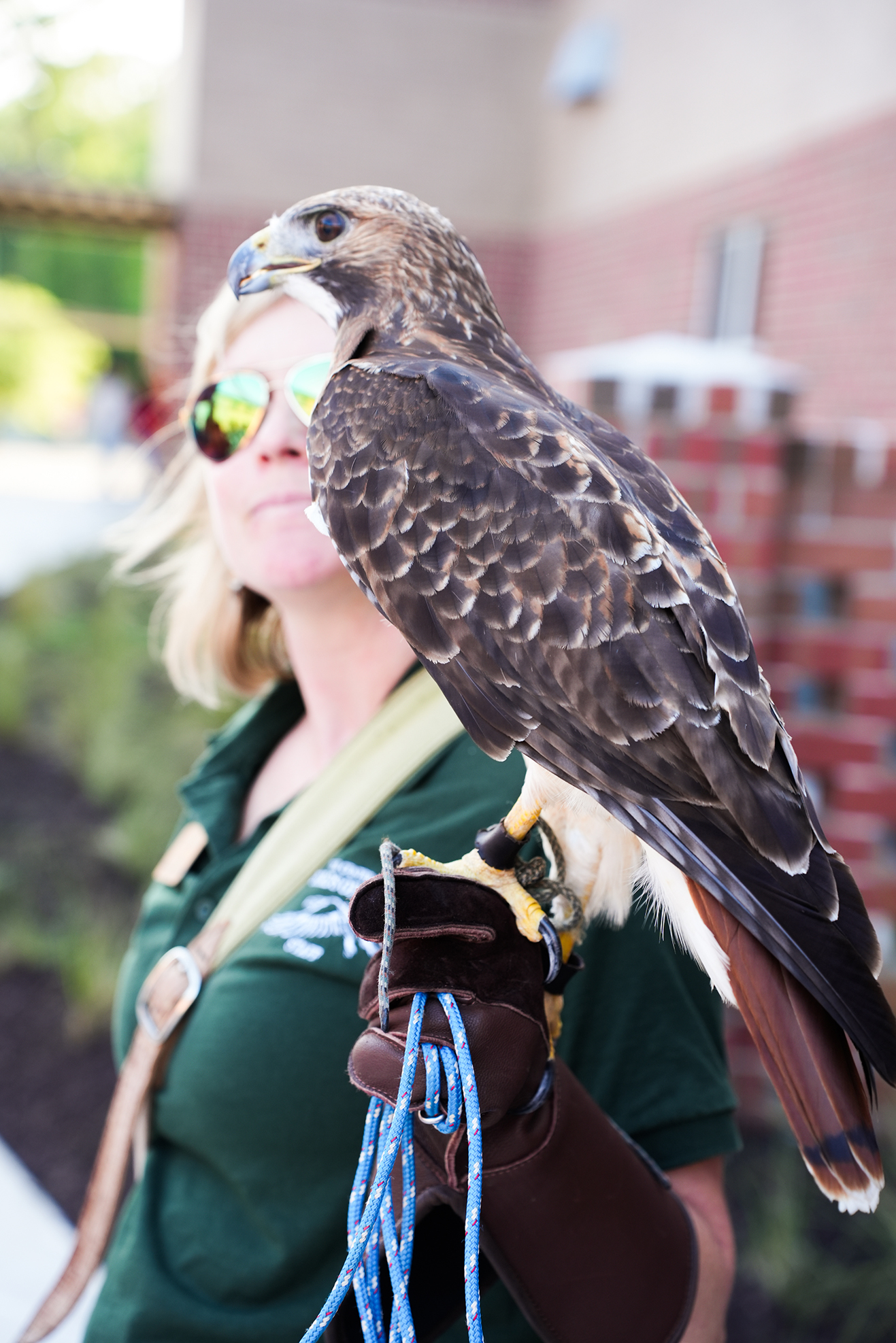 A woman in a green shirt and sunglasses holds a hawk on a gloved hand.