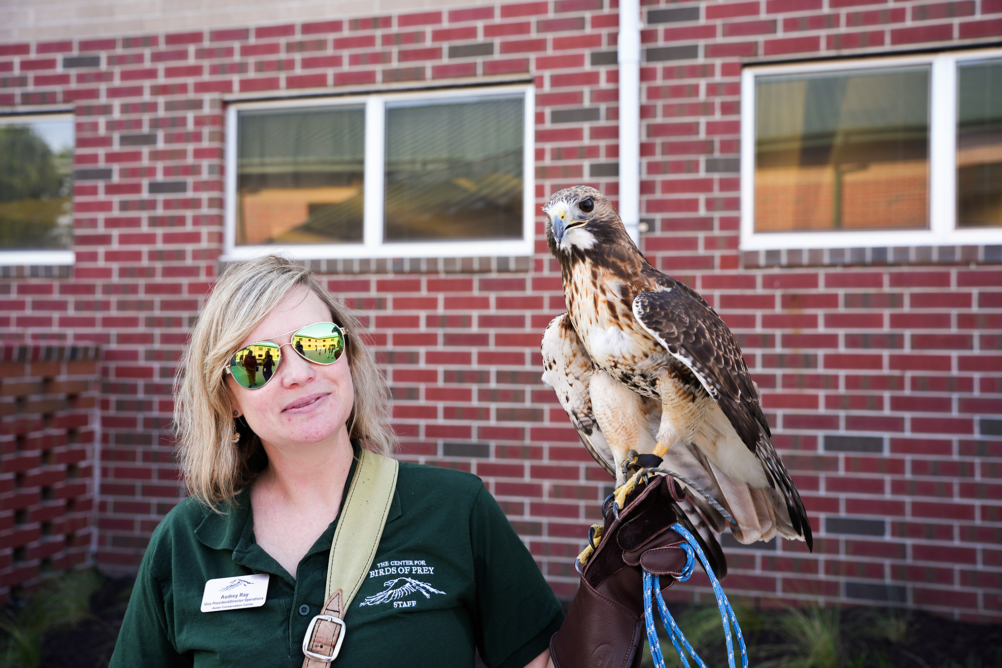 A woman in a green shirt and sunglasses holds a red-tailed hawk on her gloved hand. Behind her is a red brick building with windows.