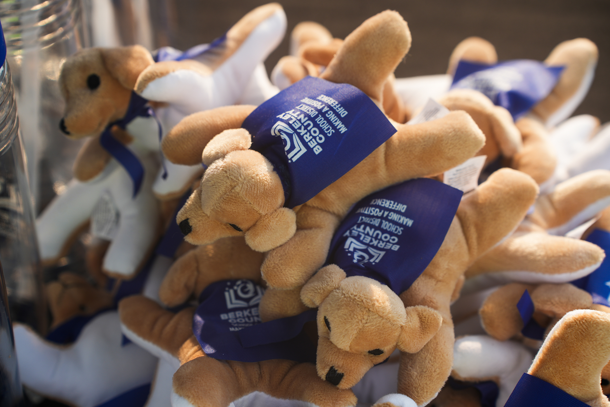 A group of stuffed animal toys with blue bandanas, resting on a surface. Each toy has a logo on the bandana.