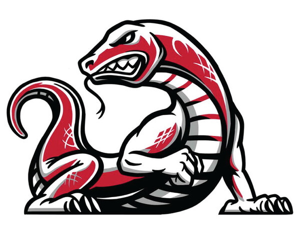 Lizard
