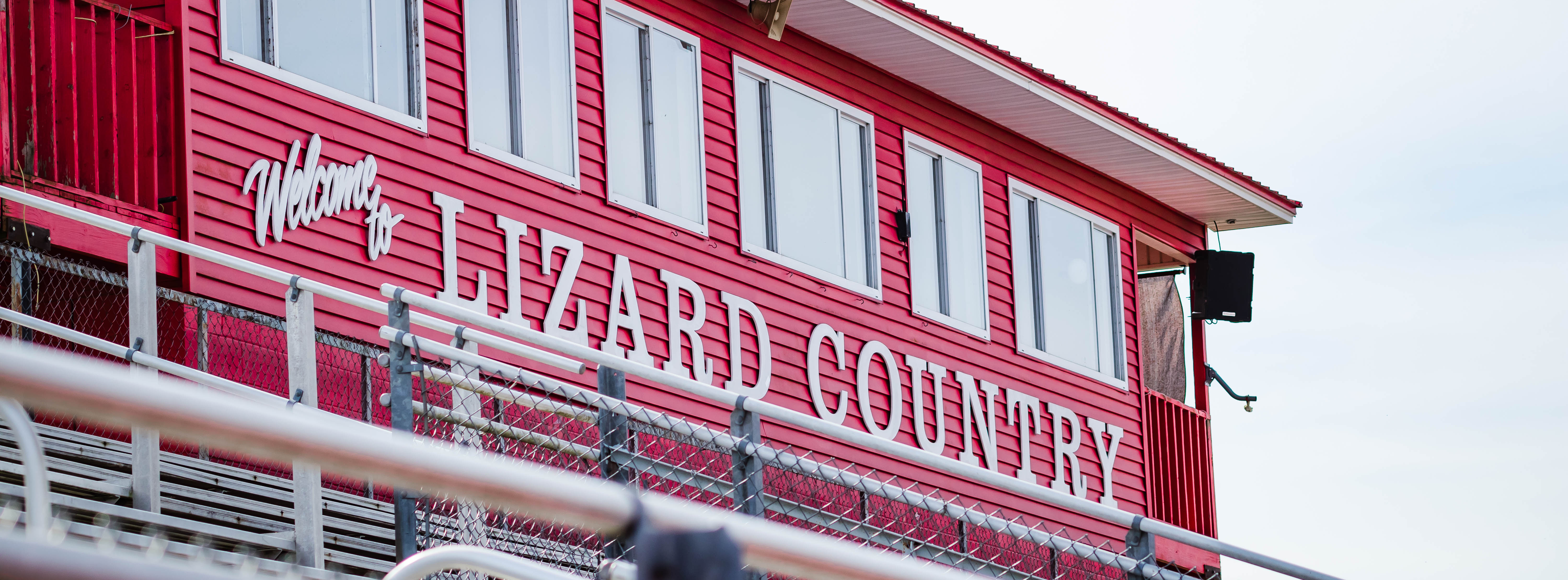 Lizard Country