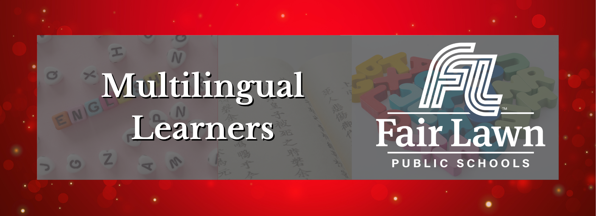 Multilingual Learners