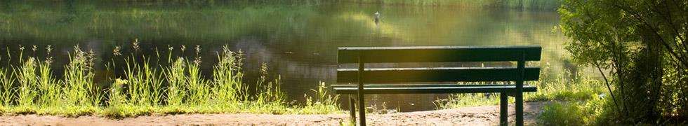 an empty park bench overlooks a pond