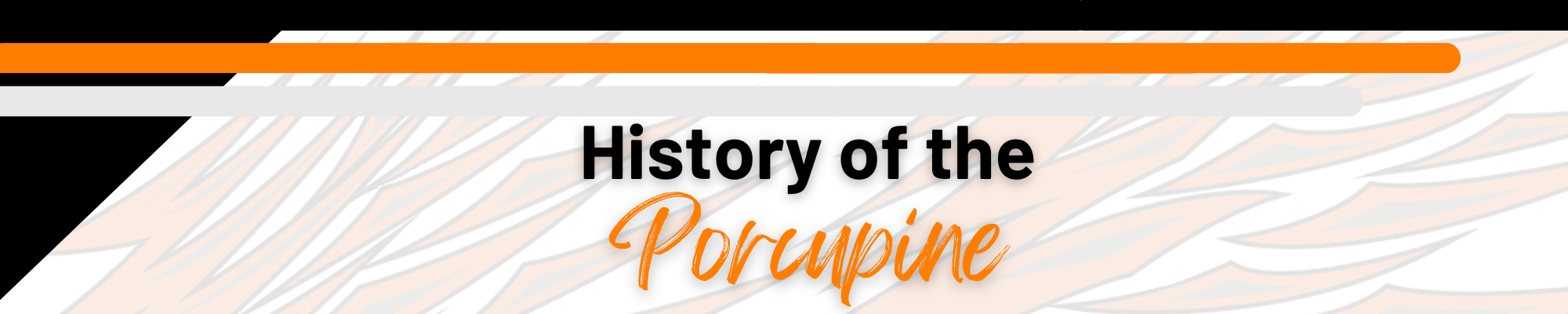 History of the Porcupine Banner