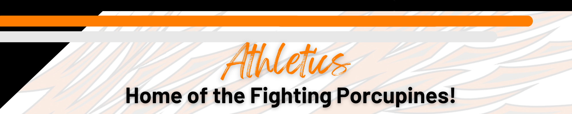 Springtown ISD Athletics