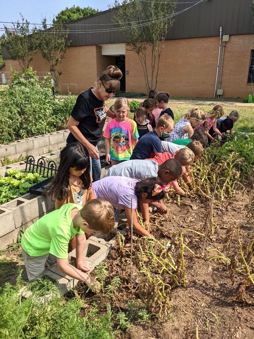 Children working in school garden