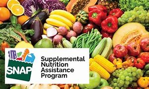 SNAP Benefit Link