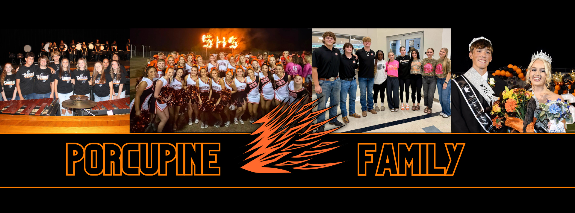 Porcupine Family Banner