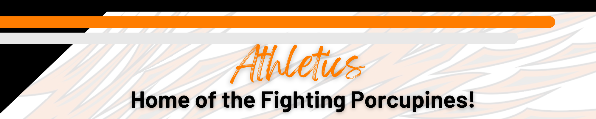 Athletics - Home of the Fighting Porcupines