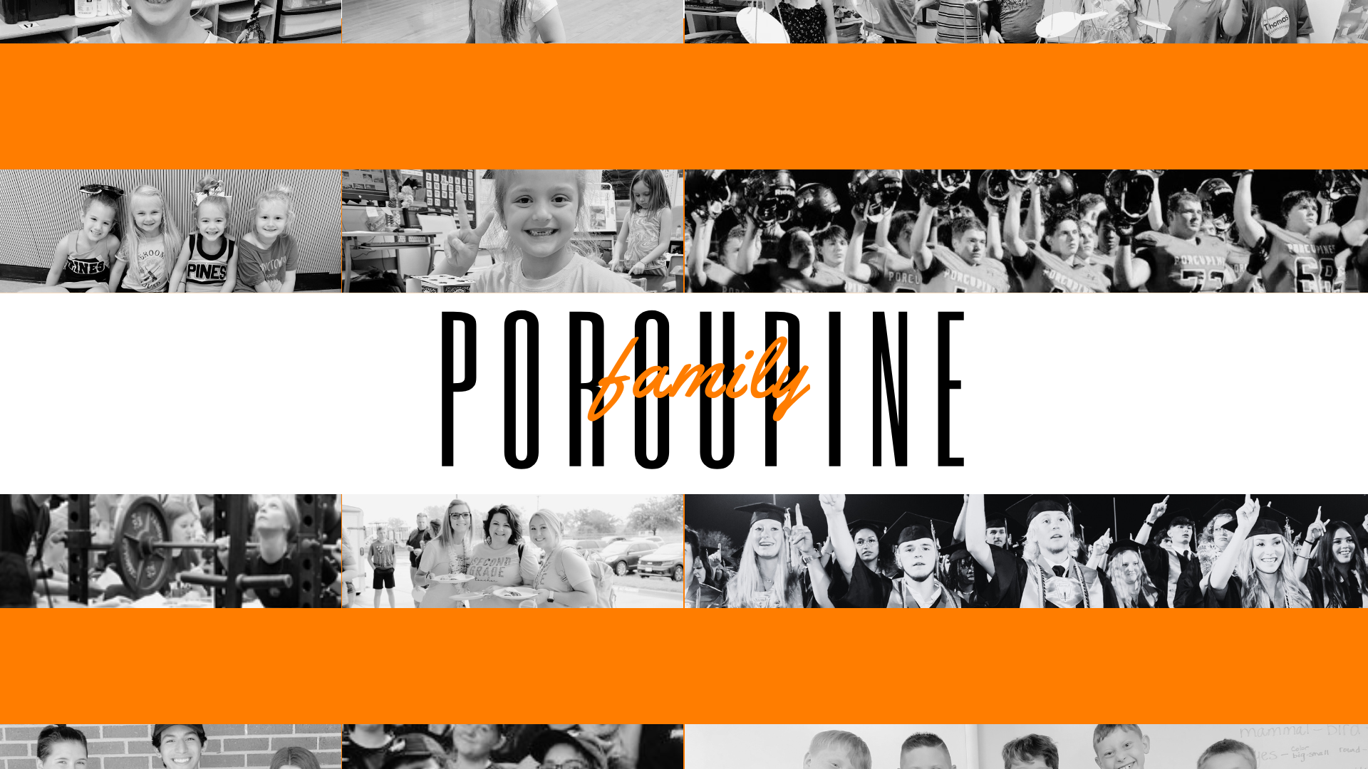 Porcupine Family Banner